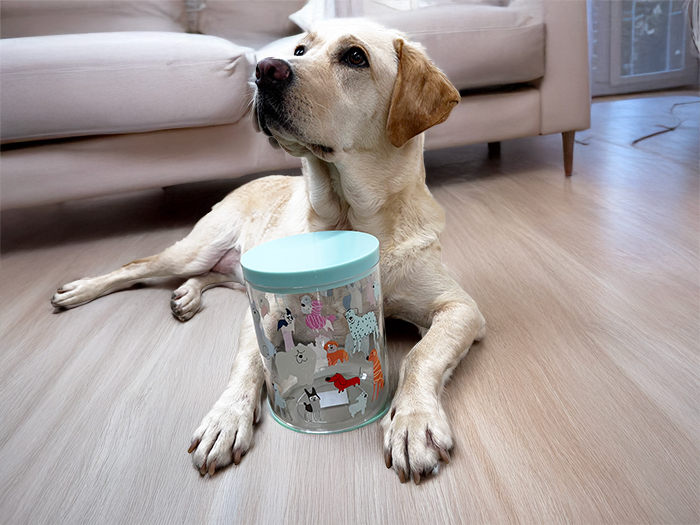 ラブラドールの手元にジャーが置いてある写真